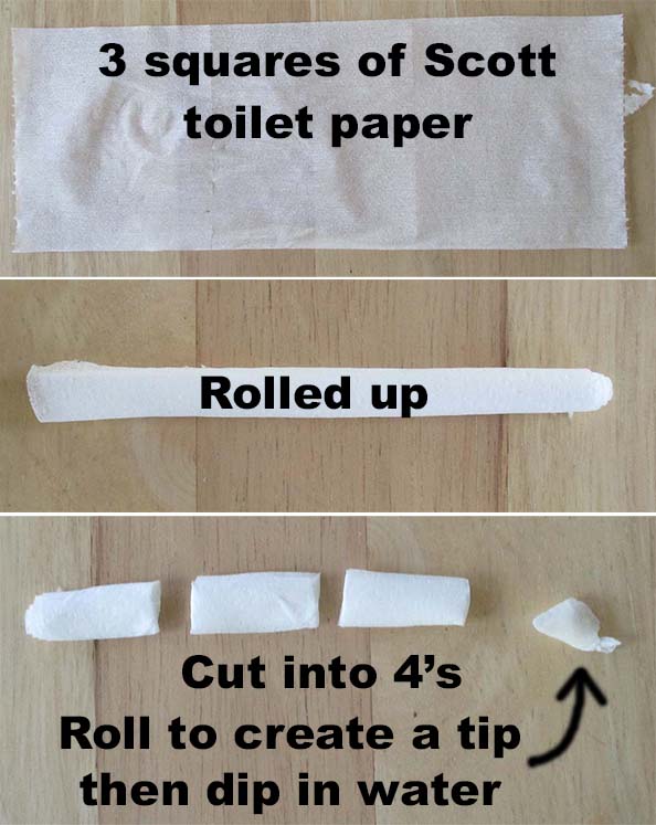 tp